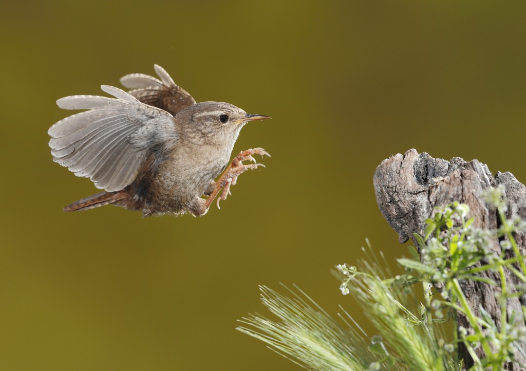 a_058_2008590_europress_EZA